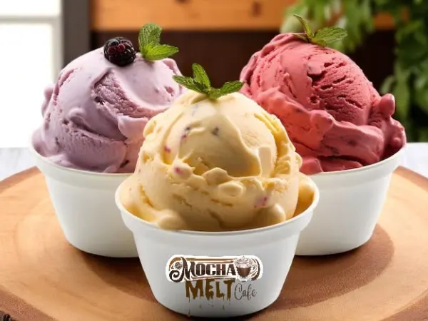 1 Scoop at Mocha Melt Cafe in Old City Philadelphia